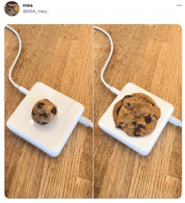 funny pictures
