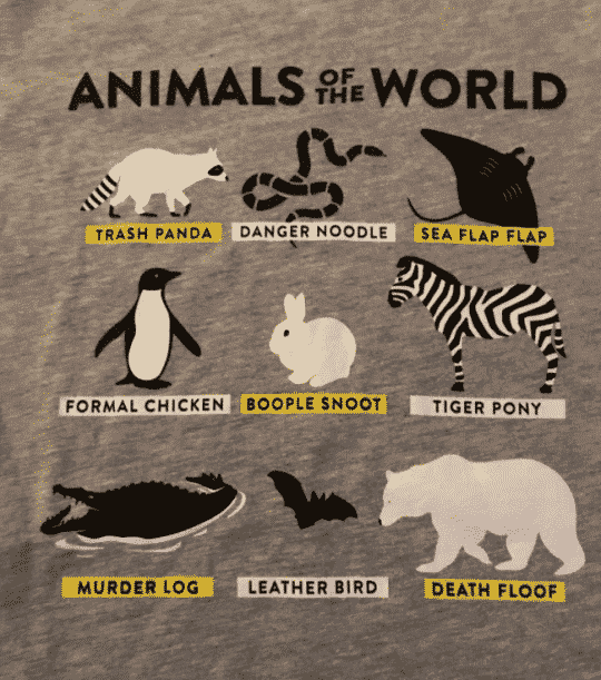 animals of the world trash panda sea flap flap