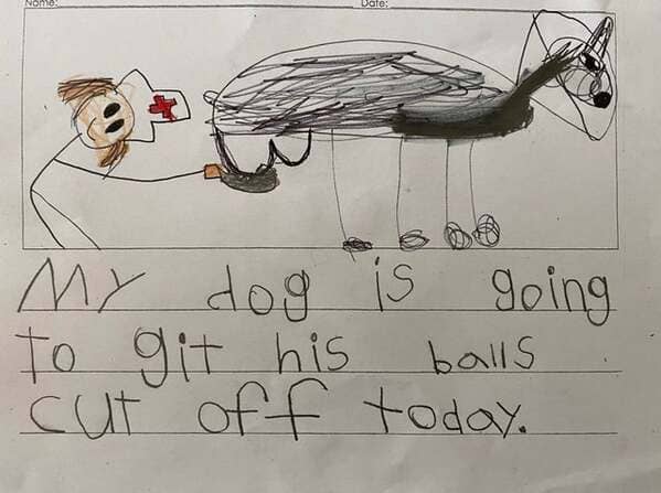 kids drawing my dog is git his balls cut off funny r/funny