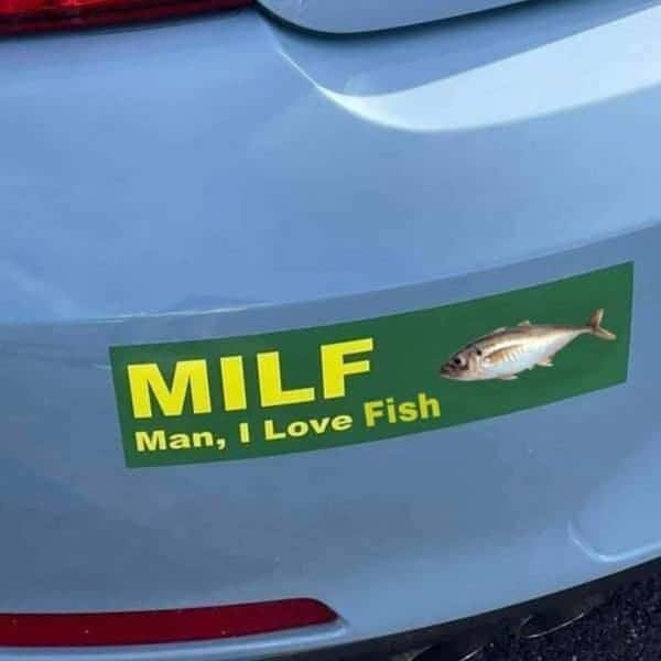 Funniest pictures ever, funniest pictures, best funny pictures, what's the funniest picture ever, funny pics, funny picture ideas, r/funny pictures