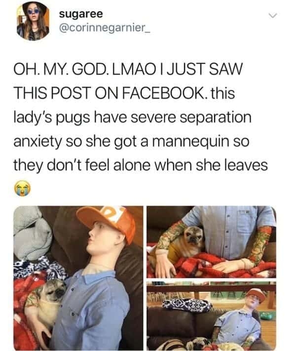 Funniest pictures ever, funniest pictures, best funny pictures, what's the funniest picture ever, funny pics, funny picture ideas, r/funny pictures