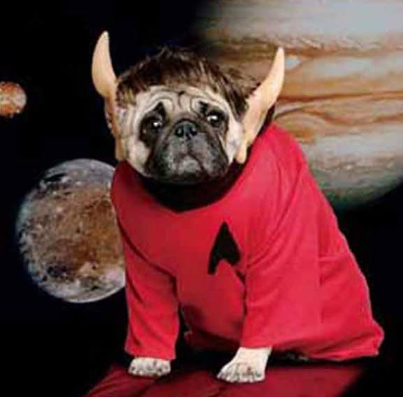 star trek fans
