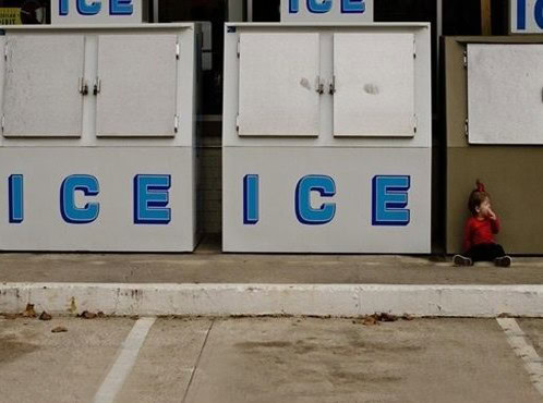 visual pun photos
