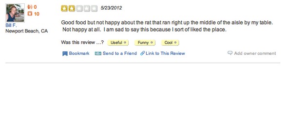yelp review funny