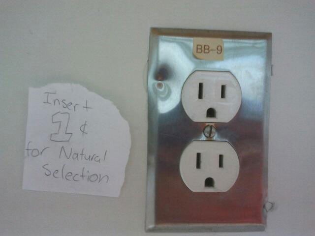 natural-selection-funny