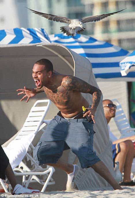 chris brown beach