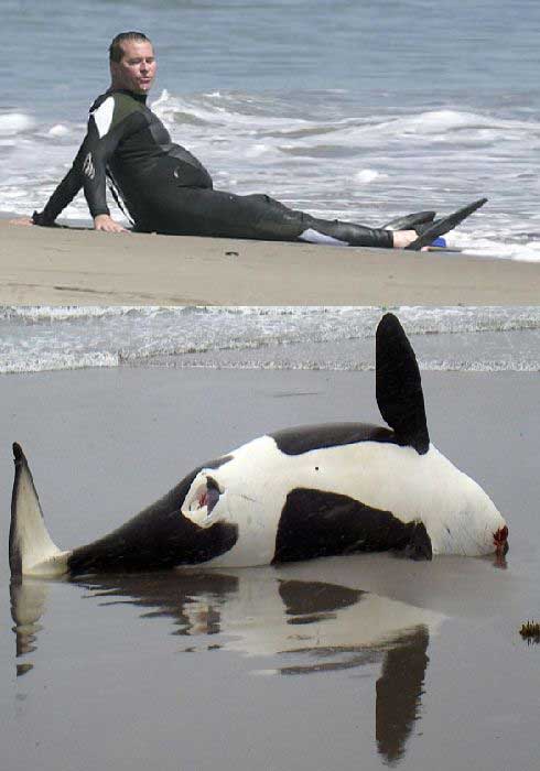 val kilmer beach funny