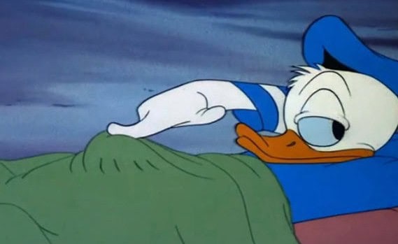 disney boner