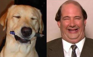 kevin malone dog