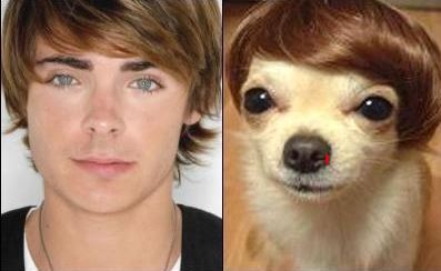doppelganger dogs