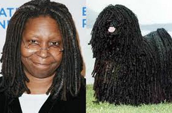 whoopi goldberg dog
