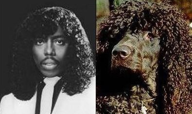 rick james dog