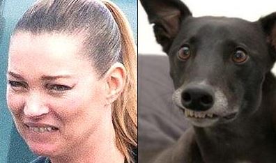 kate moss dog