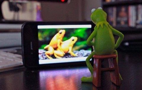 kermit caught