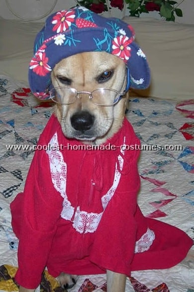 grandma dog sad