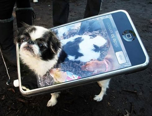iphone dog