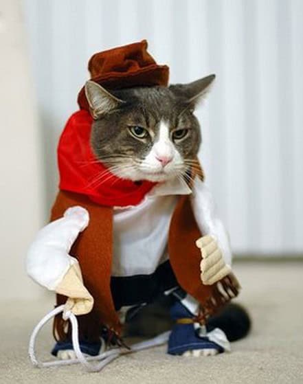 pissed pet costumes