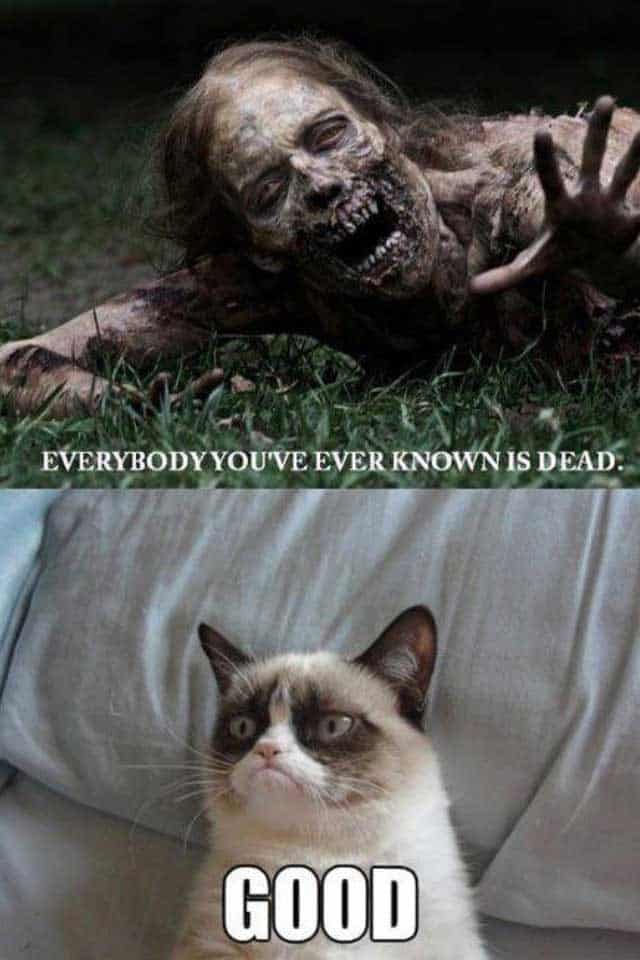 walking dead grumpy cat