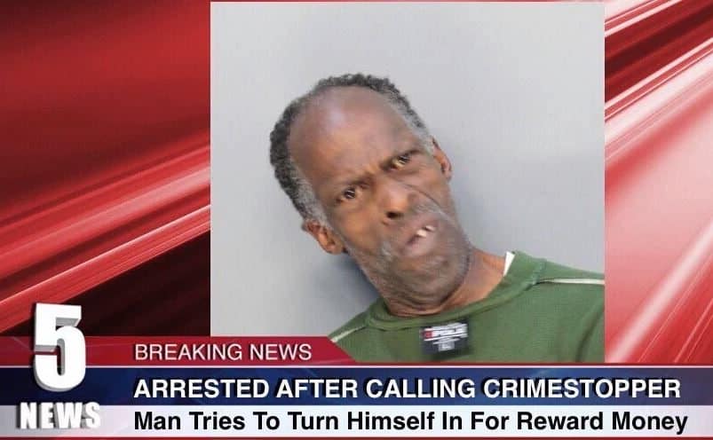 funniest local news captions 2015