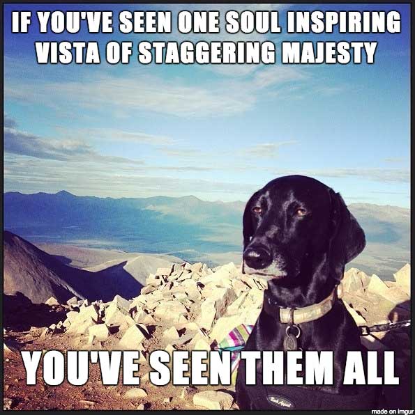 grand-canyon-dog