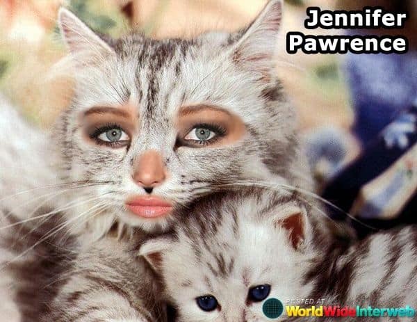 jennifer lawrence cat