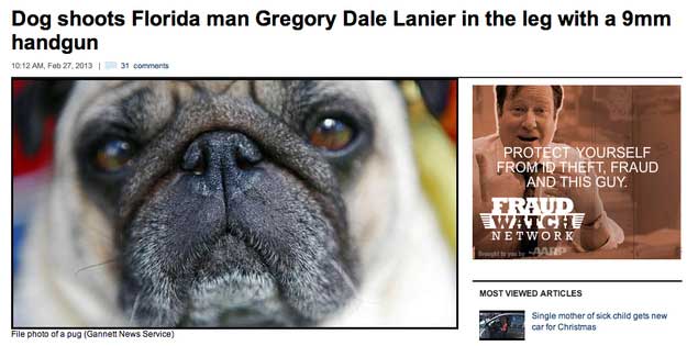 florida-dog-headline
