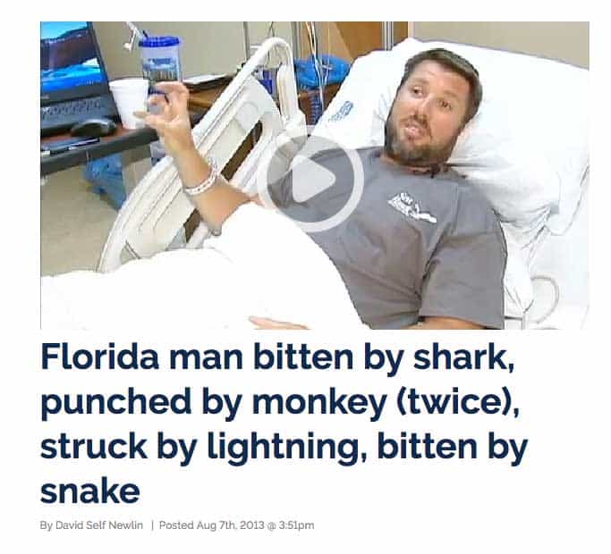 florida-man-monkey