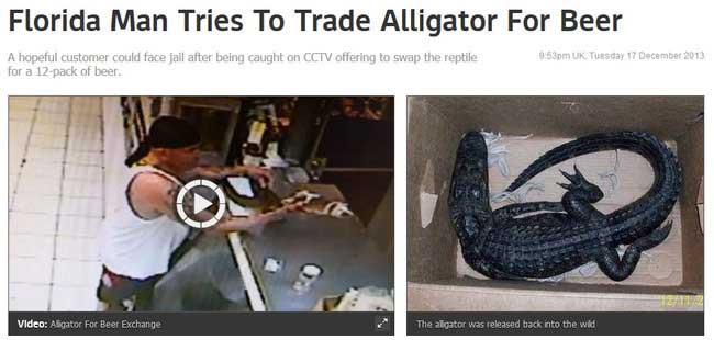 florida-alligator-news