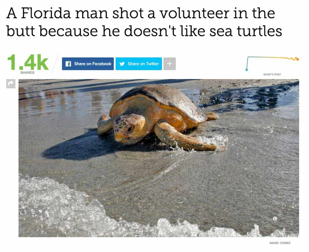 only-in-florida