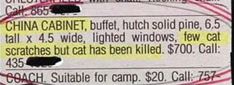classified ad cat