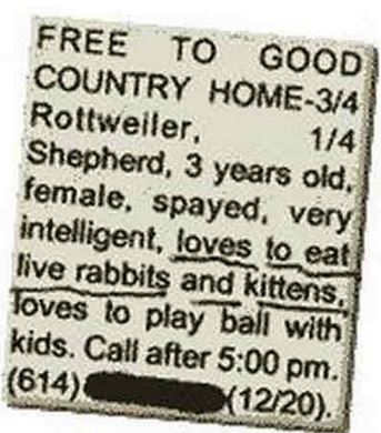 classified ad dogs