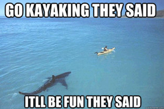 shark-attack-pictures