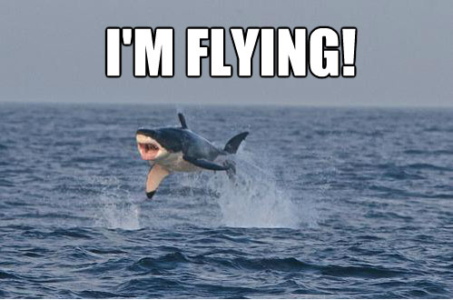 shark-week-megalodon