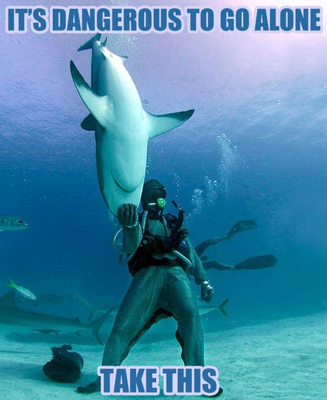 shark-week-memes-2013