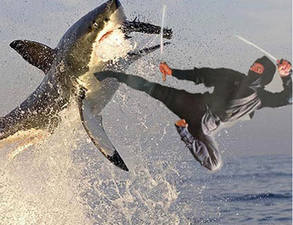 shark-ninja