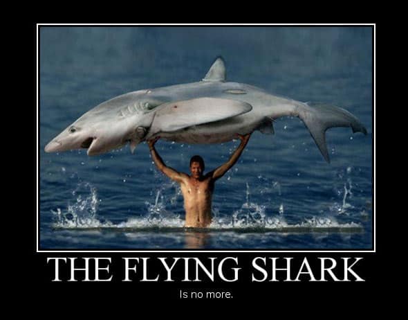 shark-week-period