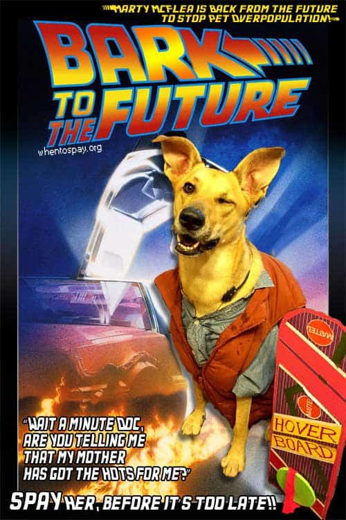 bark-to-the-future