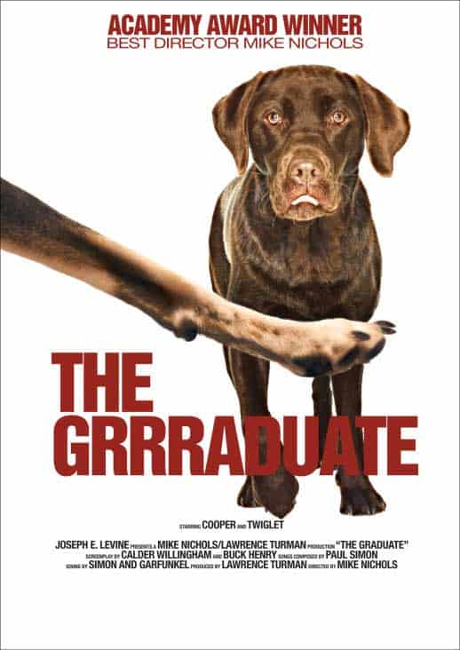 dog-movie-funny