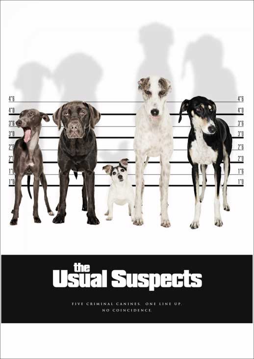 dog-poster-movie