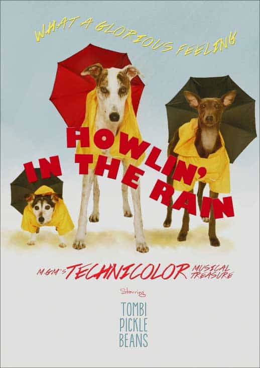 dog-poster