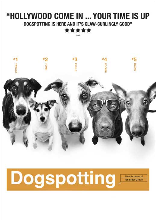 dogspotting