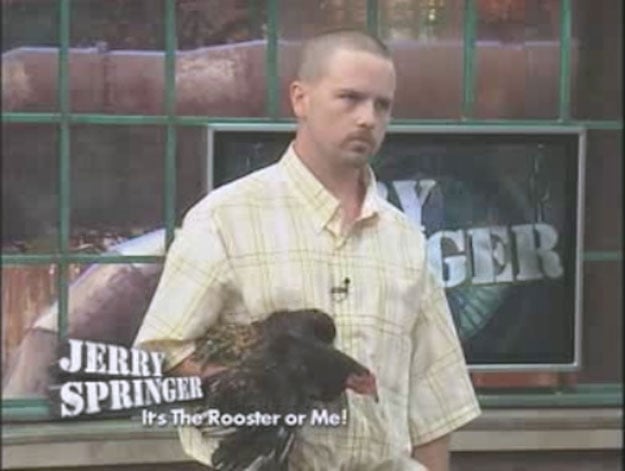 talk-show-rooster