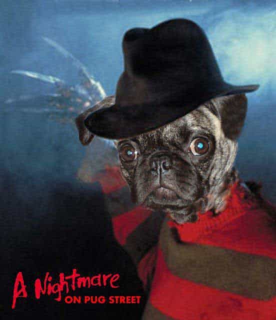 pug-movies