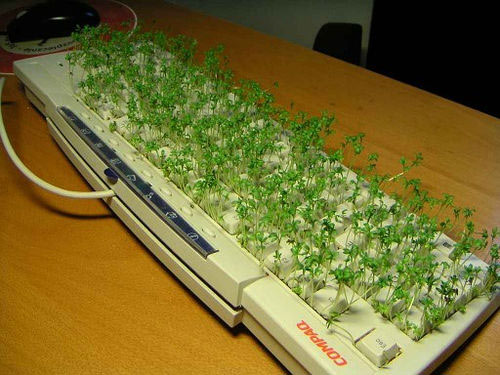 office-prank-grass