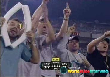 funny nfl fan 20120329 1133807762