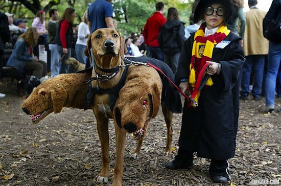 harry-potter-halloween