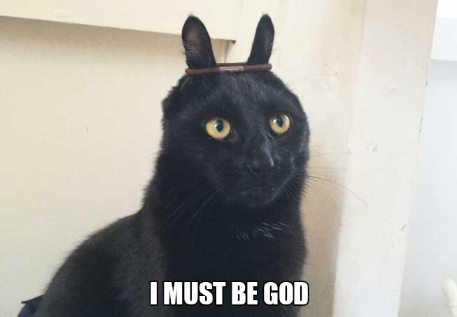 cat-thoughts-god