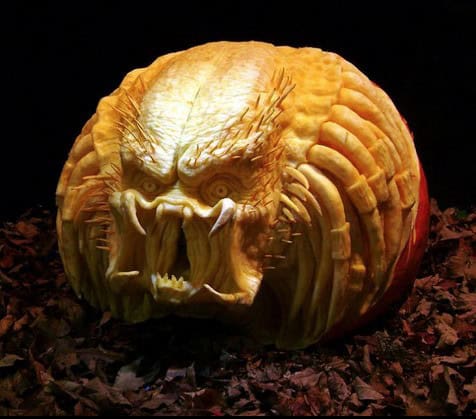 predator pumpkin