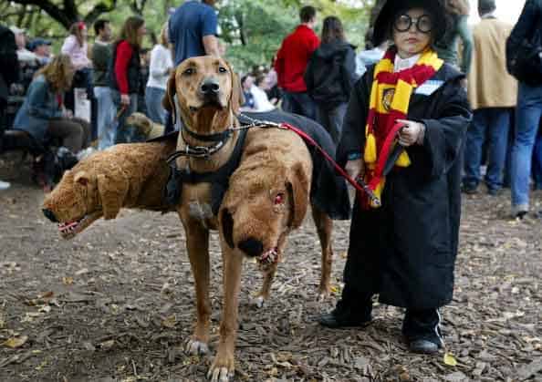 best halloween costume ideas 2014