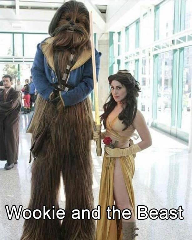 wookie-and-the-beast